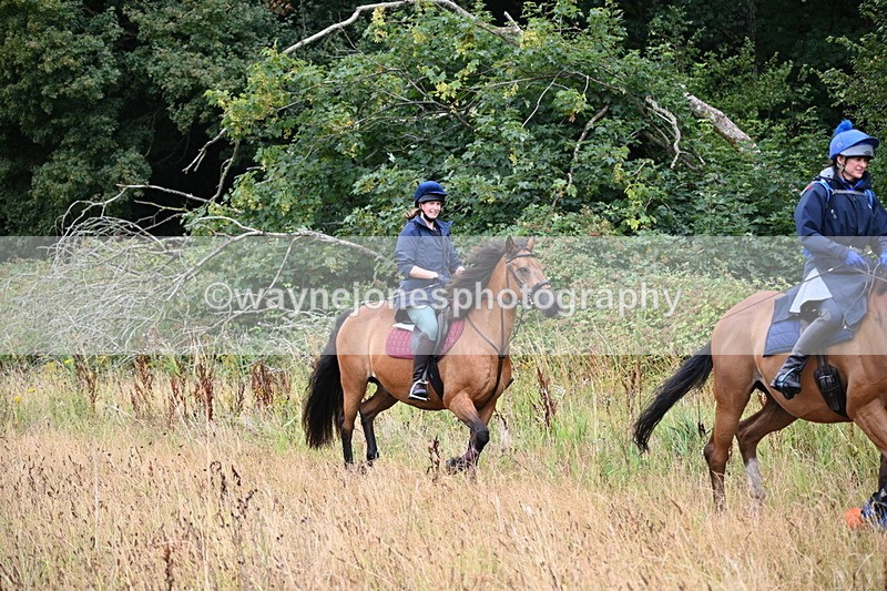 WJ6_2265 - Group 6?