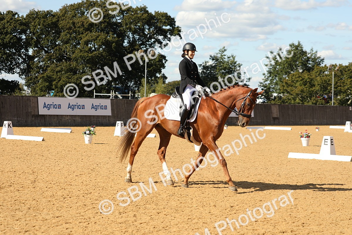 SBM_24601 - D17 - Grand Tour Championship - Novice 27