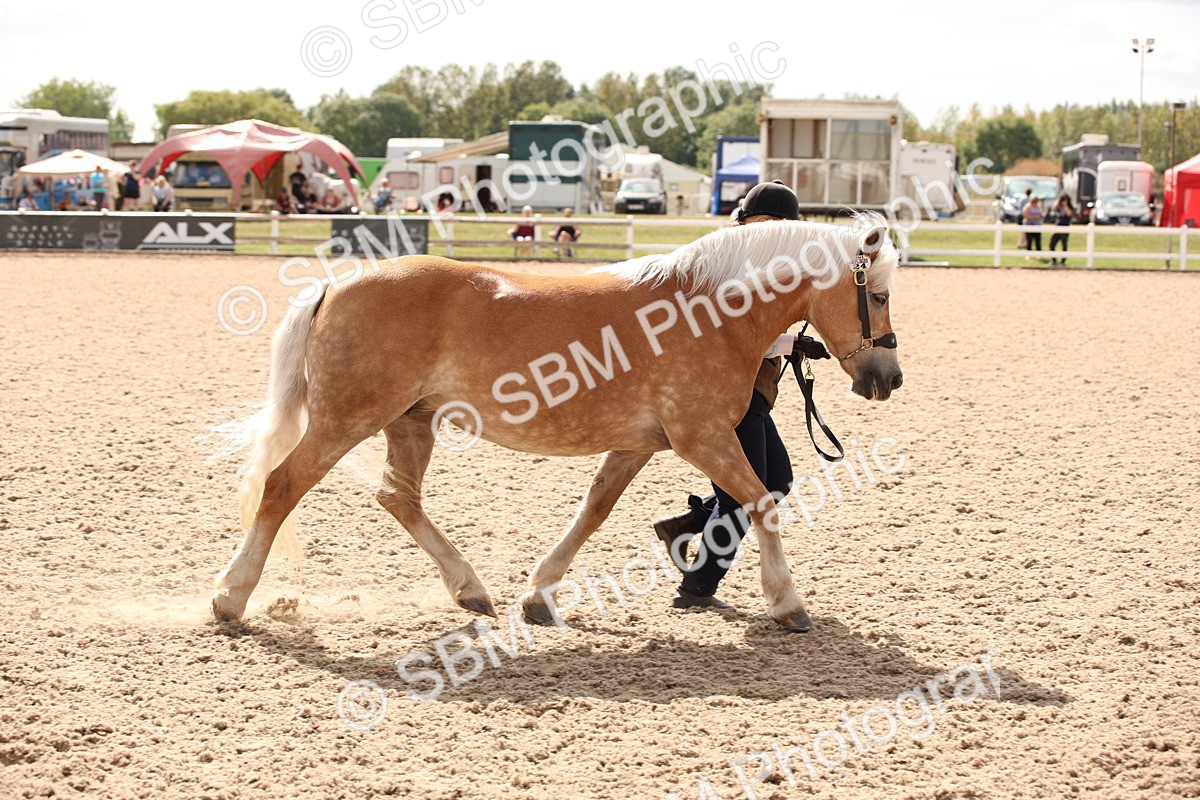 SBM_04608 - Class 20 IH Veteran