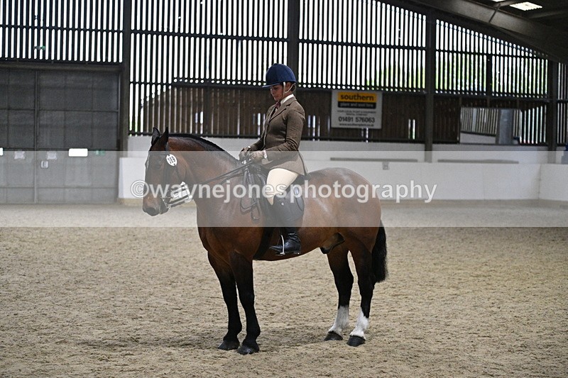 WJ7_3964 - Class 17 Ridden Cob