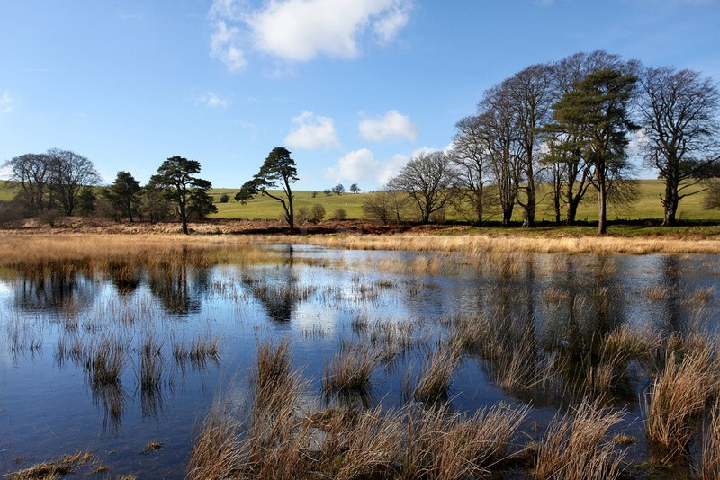 Priddy, Somerset_PR_001 - Somerset landscape Photography