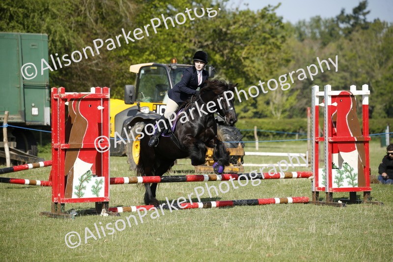 20250427-0388 - Class 12 - Rookie Jumping 40cm