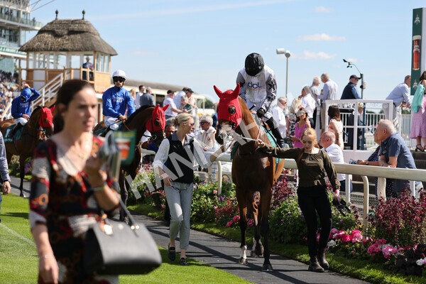 yr09072022r5-23 - Race 5 4.05pm John Smith's Cup