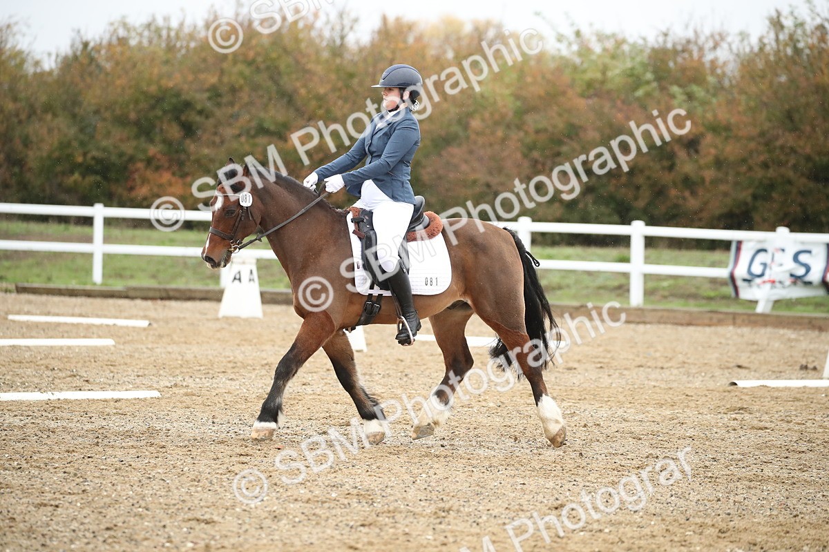 SBM_001707 - Prelim 2