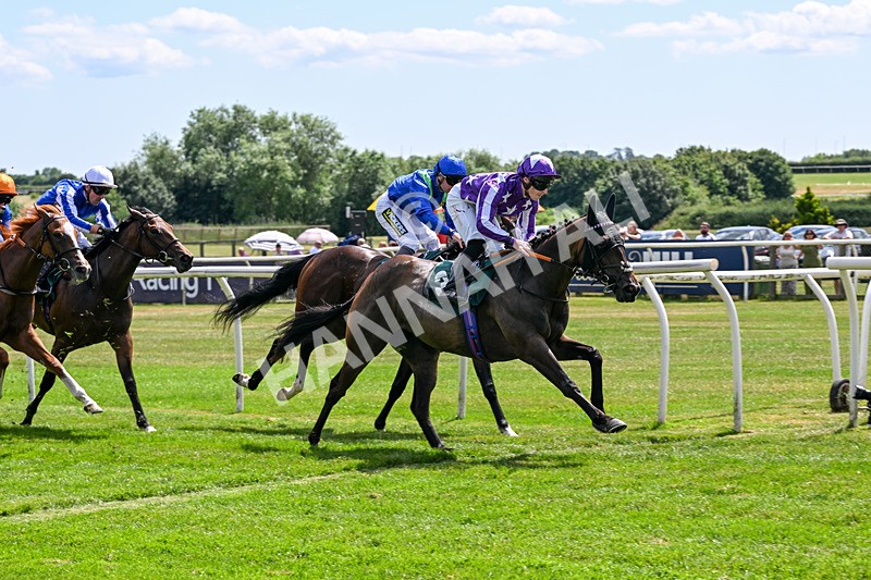 080726-Race 2-Penny Capri-6860 - Race 2 14.30pm Download The Raceday Ready App Nursery Handicap