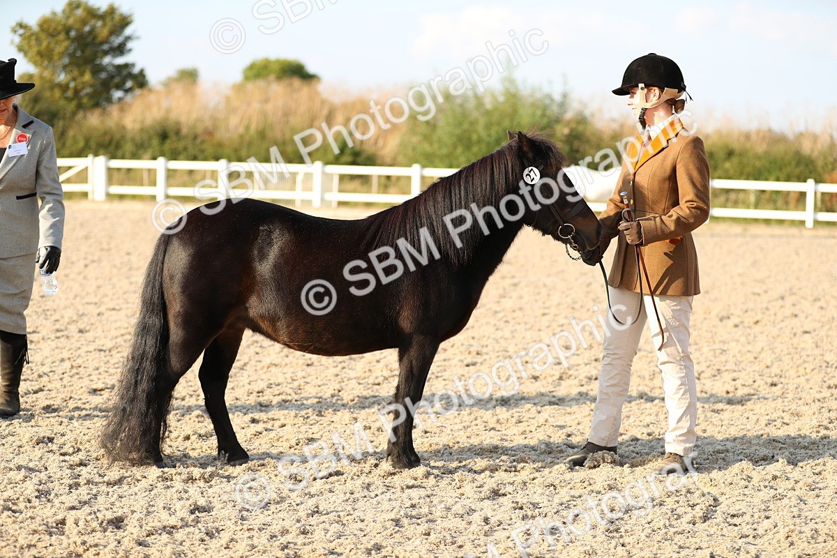 SBM_09028 - Class 29 IH Veteran Pony