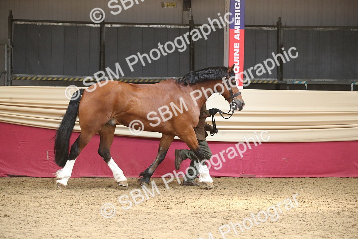 SBM_05593 - Class 9R - Regional IH Pre-Vet