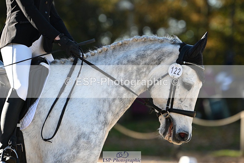 231110-103312-00133 - Cls 2 Prelim 17(a)Q