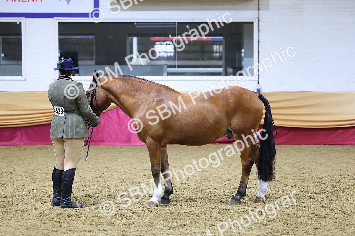 SBM_19677 - Class 901 - Supreme Final - IH Diamond