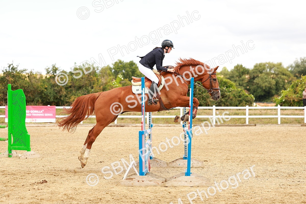 SBM_005629 - Class 2 - Senior British Novice - 90cm