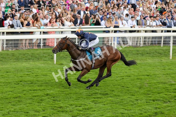 290723-Race 4-Blue Prince-3942 - Race 4 4.00pm 50K ITV7 Weekly Jackpot Nursery Handicap