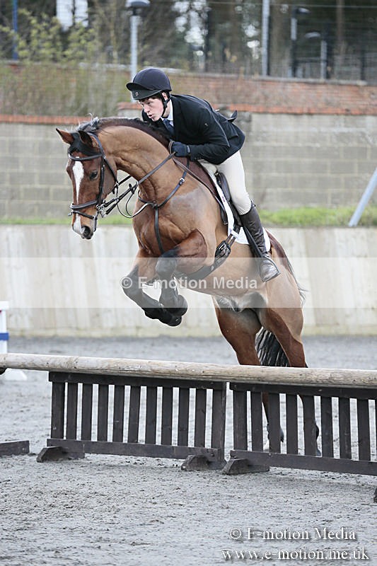 BVRC SJ 170319 487 - Bourne Valley Riding Club Showjumping 17/03/19