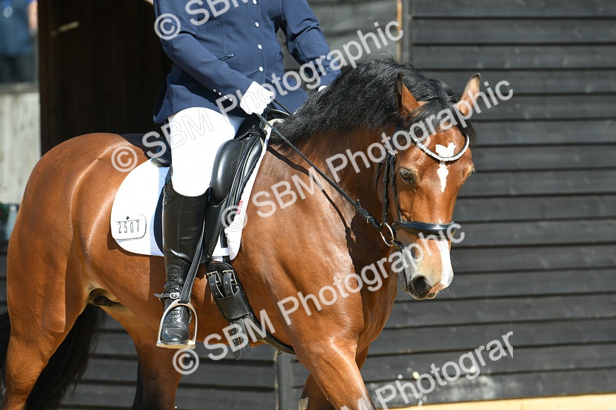 SBM_25031 - D13 - Grand Tour Championship - Prelim 12