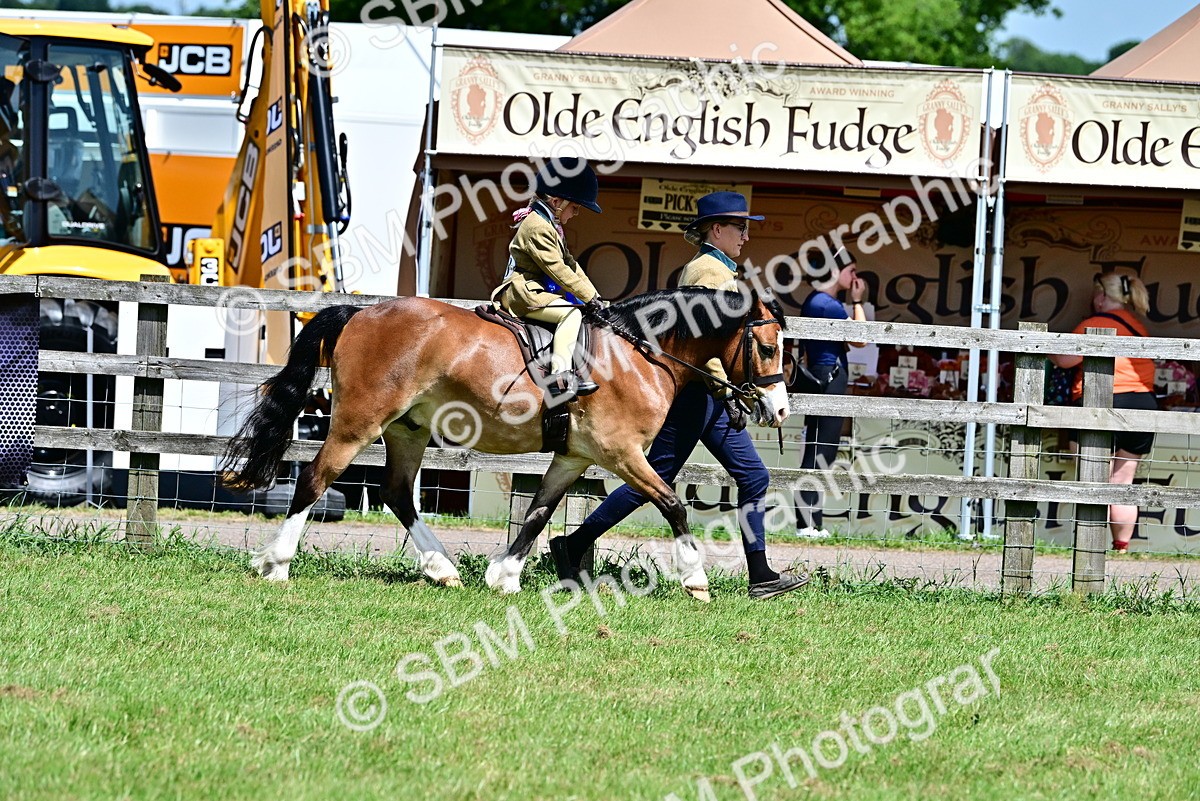 SBM_06442 - Class 59-60 - TSR M&M  Lear Rein and First Ridden Amateur of the year