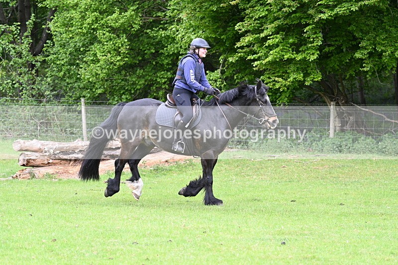 WJ7_2181 - Group 3 A&B Cameras