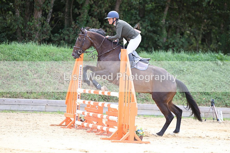 3E7A3388 - Class 4: Senior British Novice/90cm open