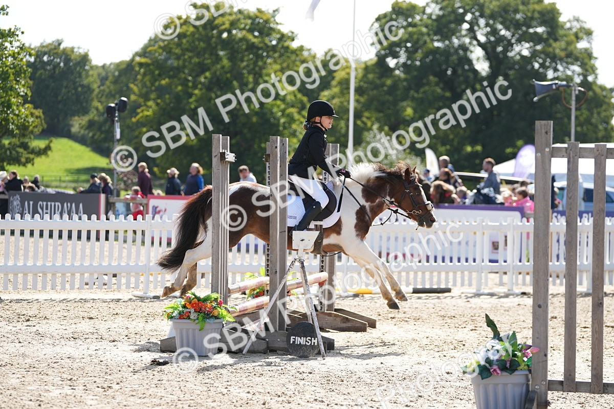 SBM_46580 - J7 - Junior Pony 60cm Championship
