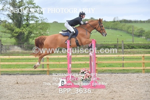 BPP_3636 - CLASS 19 SUN Senior 1.15m Open