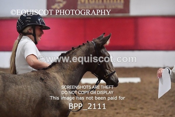 BPP_2111 - AFTERNOON 12.30 - 3.30PM