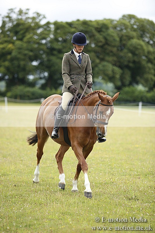 BVR160717-265 - Ring 1 BVRC Show 16/07/17