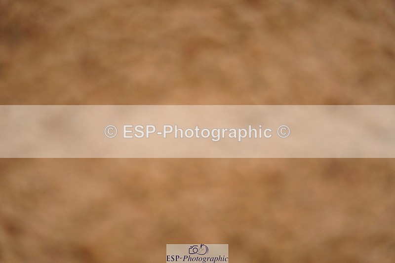 240526A-130820-08238 - Cls 27 Chard Equ May Grand Prix