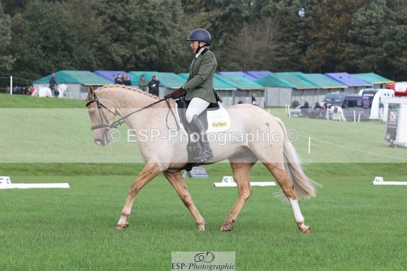 231019-110903-02564 - 612-CORRIEVIEW.MERLIN.MAGIC-Jane.Rogers-DR