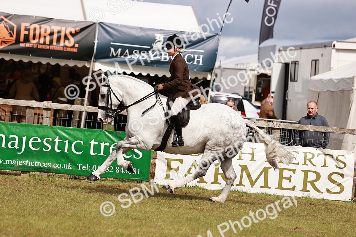 SBM_13127 - Class 85-87 - RIHS Cobs