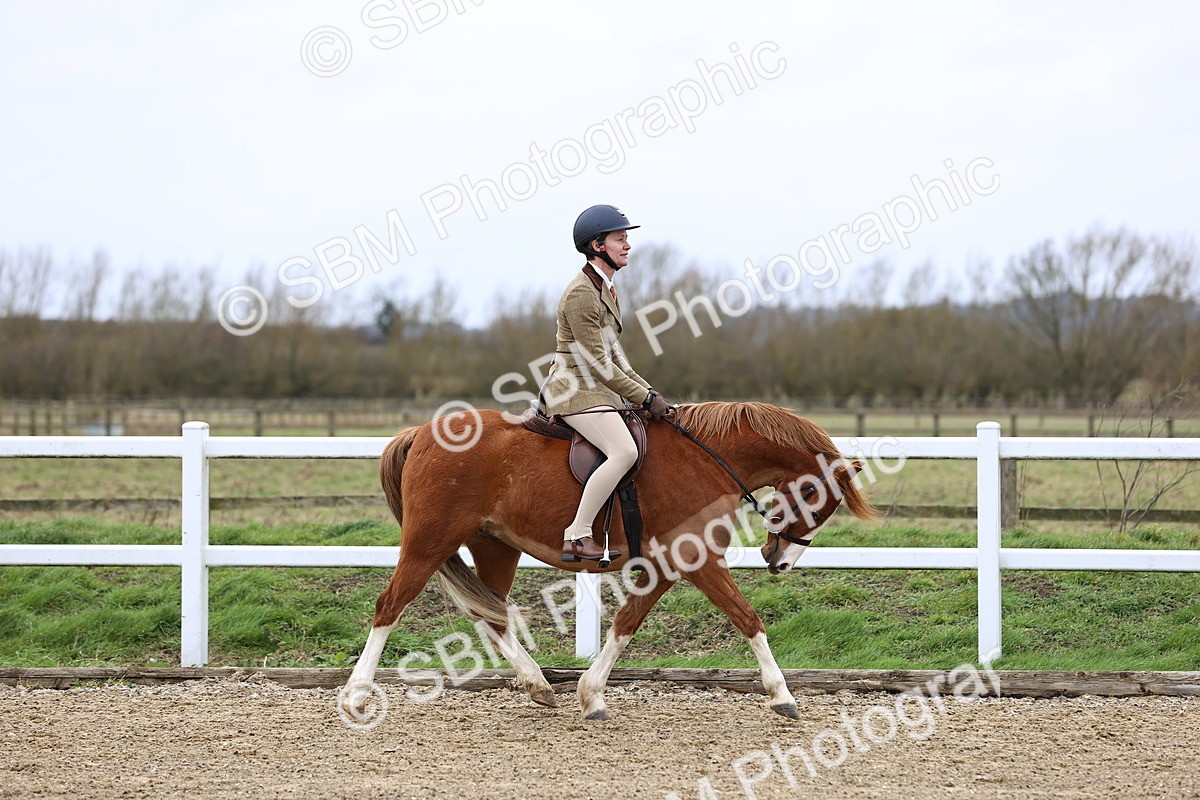 SBM_006735 - Class 29 - 30 - M&M Pure Novice Small-Large Breeds