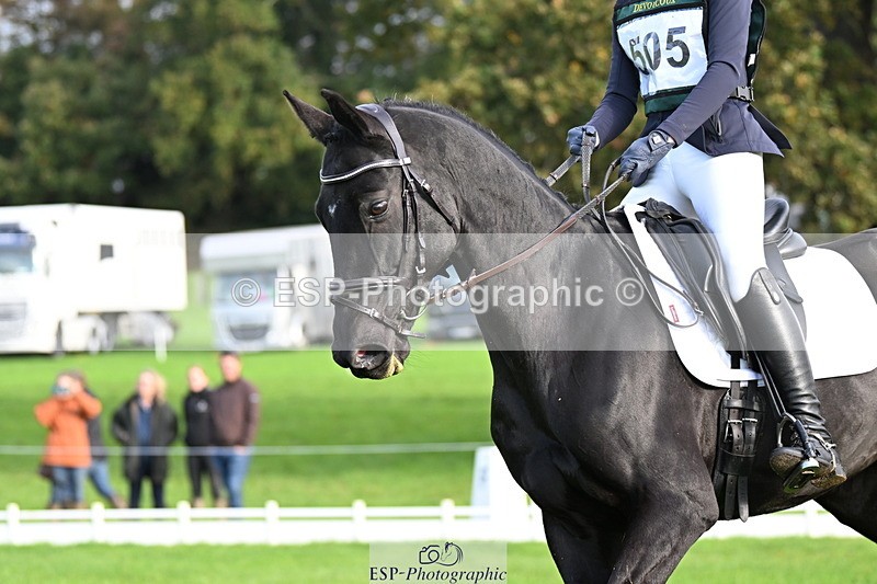 251023A-102104-02448 - G-505-Sarah.Amos