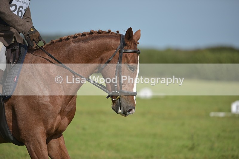 RAY_7864 - Class 2B: Trekenning Open: Dressage