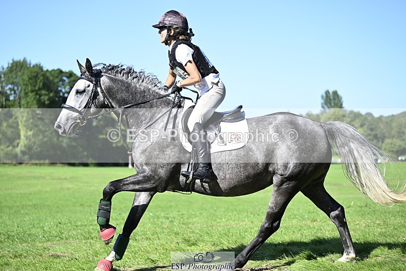 240811A-164449-06659 - 455-