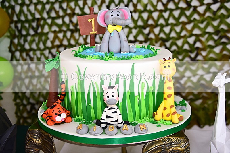 ADN-041 - Aiden's 1st Birthday
