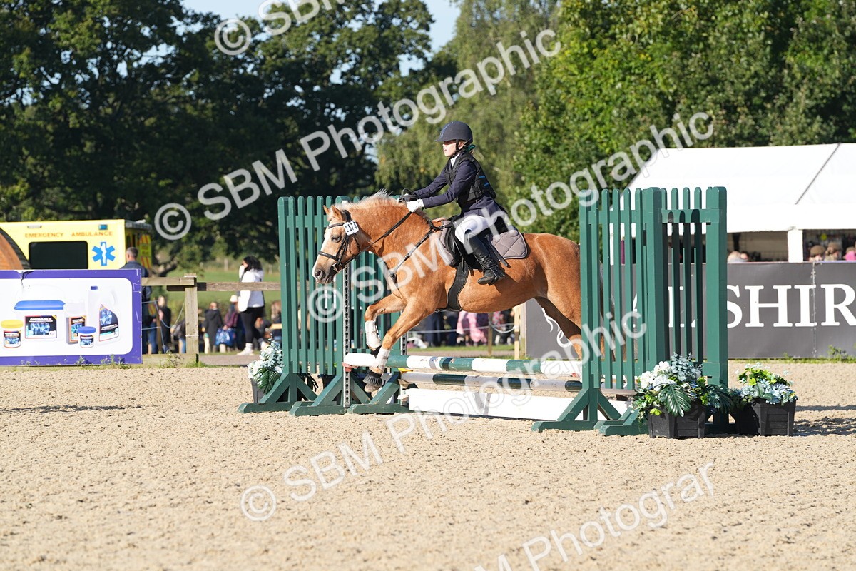 SBM_34410 - J62 - Clear Round 50cm