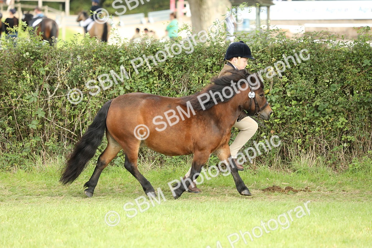 SBM_68538 - S40 - Junior Handler 9-12 Years