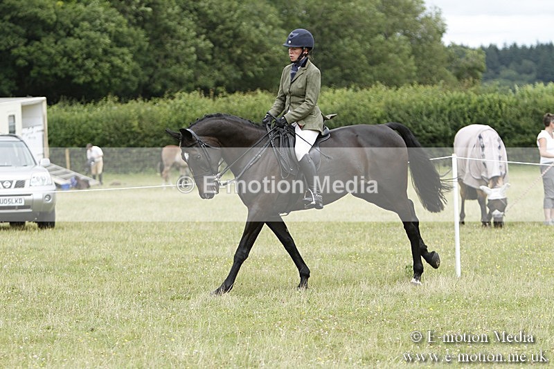 BVR160717-2232 - Ring 3 BVRC Show 16/07/17