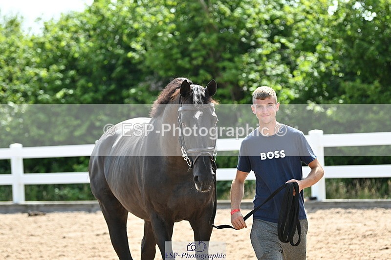 240717A-154424-03022 - Trot Up 3pm to 4pm