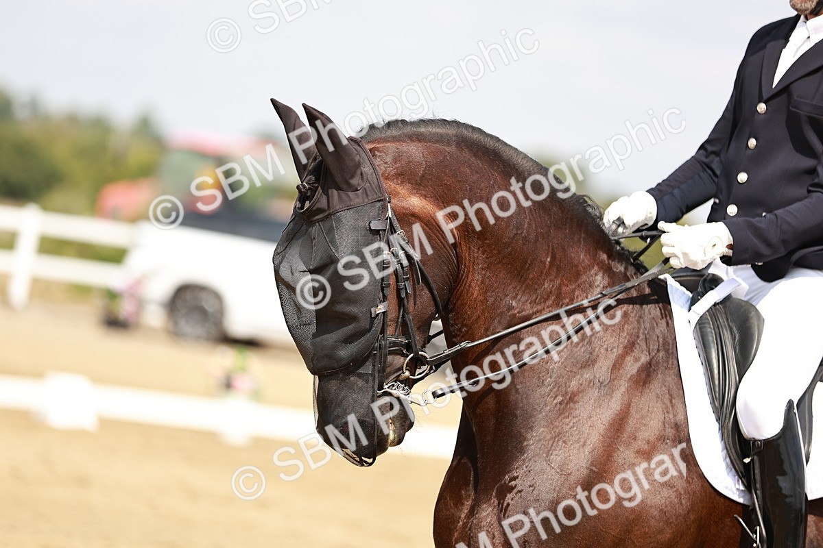 SBM_004161 - Class 7 - Advanced Medium 6 Gold - 14.52-16.00