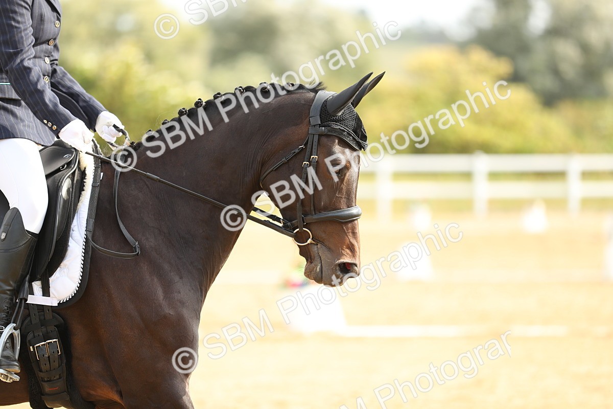 SBM_015532 - Class 13 - Novice 23 - 9.54-11.04