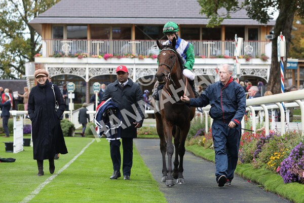 yr07102022r2-39 - Race 2 2.40pm William Hill Autumn Mile