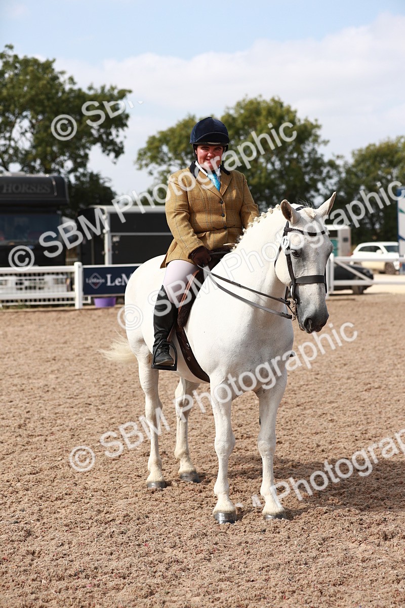 SBM_14884 - Class 212 Ridden Hunter - Small
