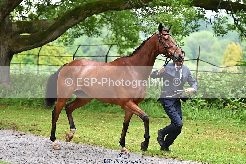 240522-163608-01038 - 268-TOM_DILLINGER-Hector_Payne