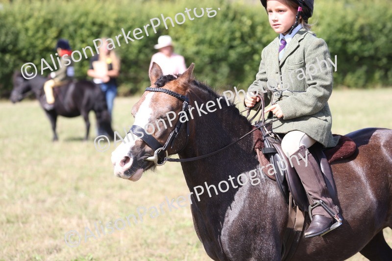 20260906-3081 - Class 18 - Childs First Pony