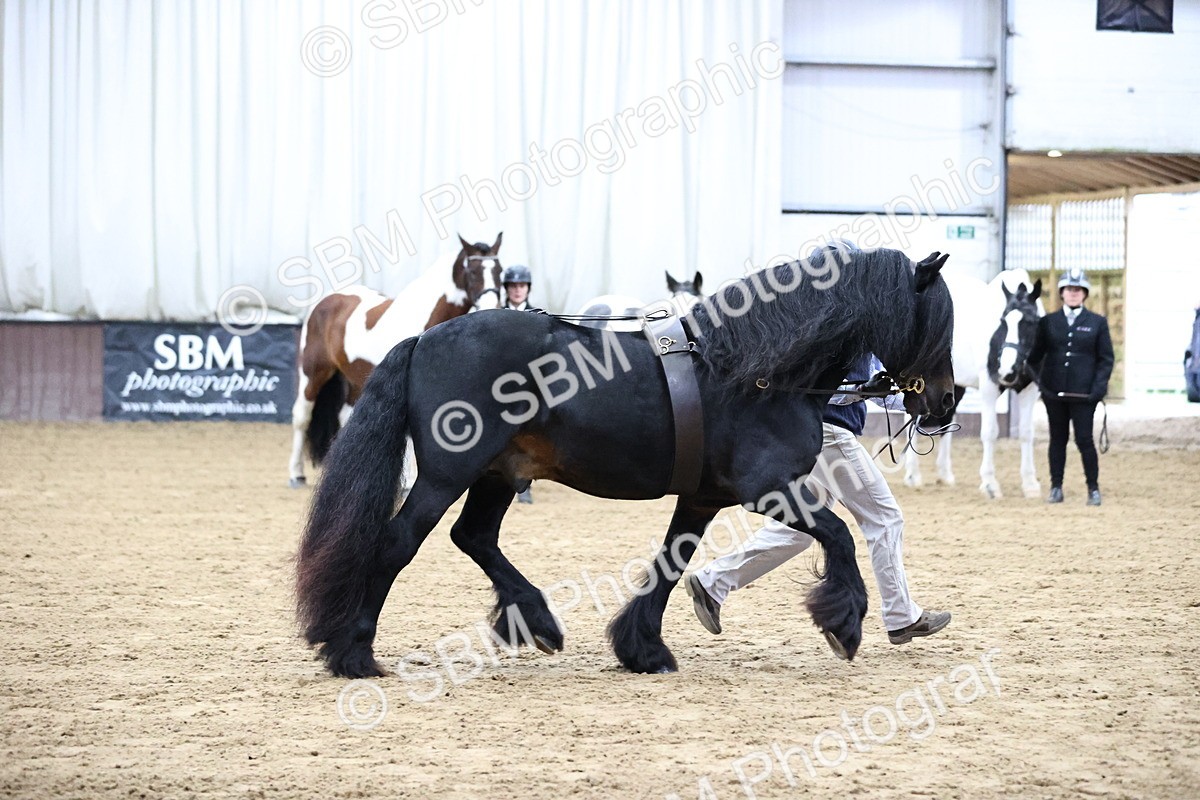 SBM_5303 - Class 32 - In Hand Cob Type