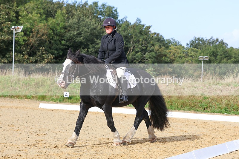 3E7A2311 - Class 1: Intro 4 2024 section A