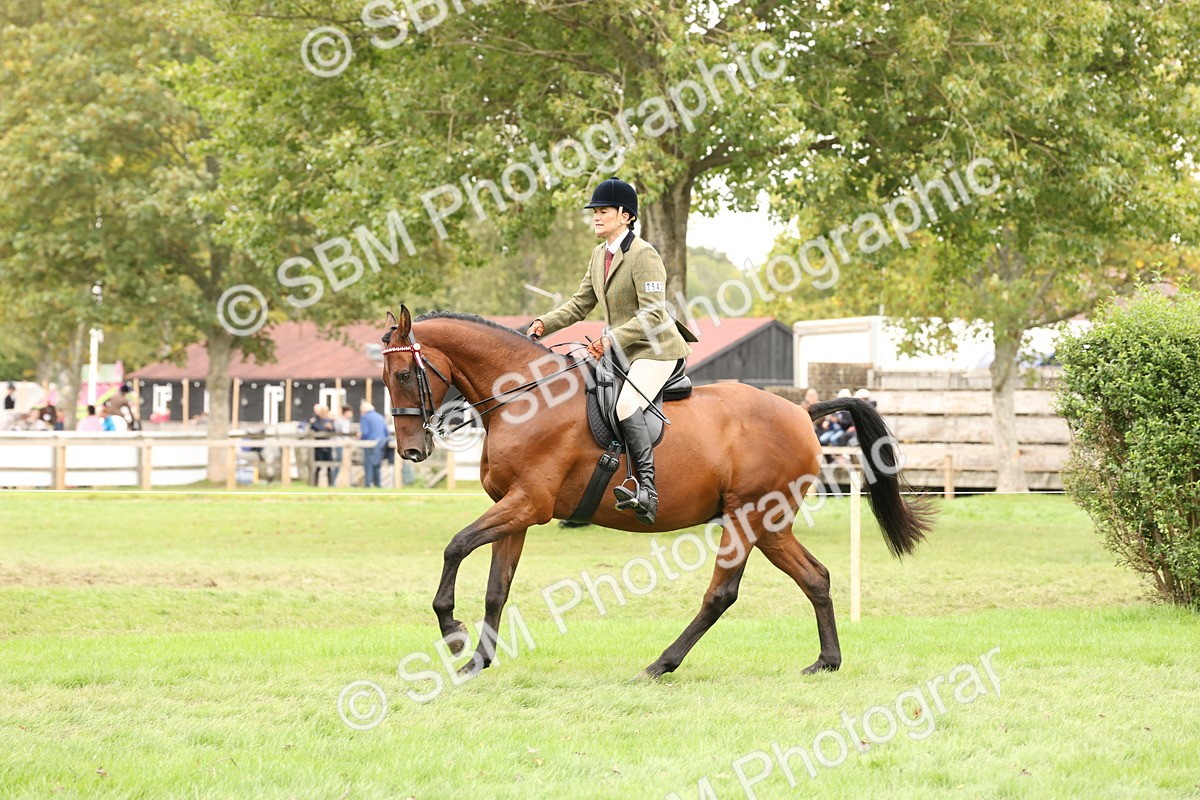 SBM_64230 - S65 - Riding Horse & Hack & Thoroughbred Ridden