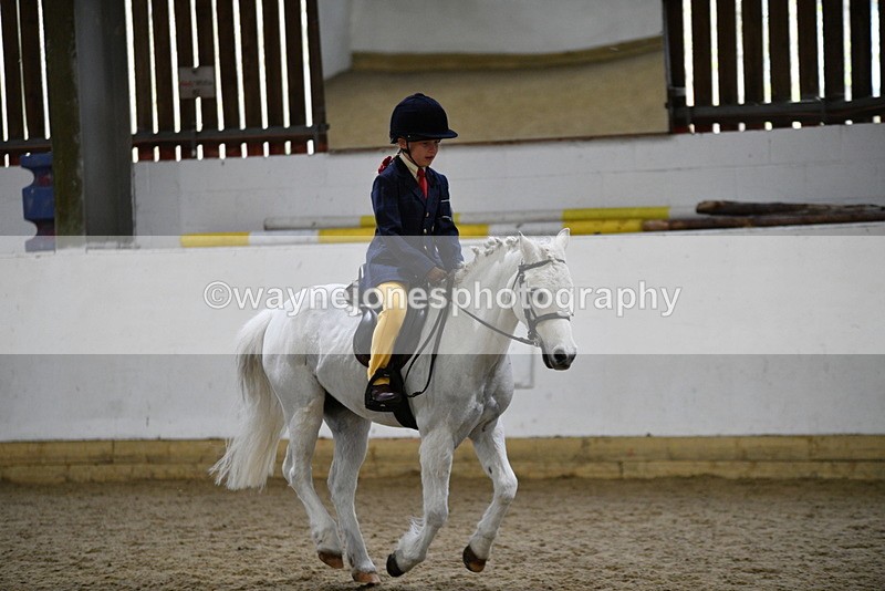 WJ5_7207 - Class 11 Ridden PC - RC Pony