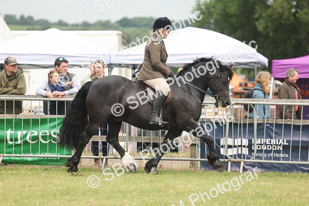 SBM_07176 - Class 76-77 - Ridden M&M Welsh Ponies