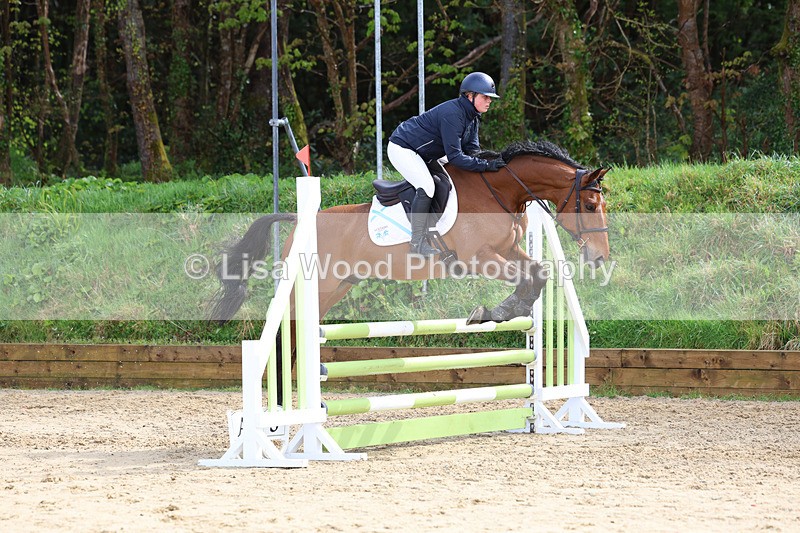 3E7A0809 - Class 4: Senior British Novice/90cm open