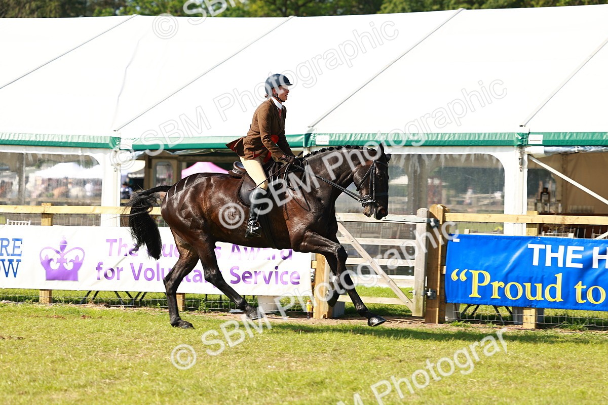 SBM_11965 - Class 66-69 - RIHS Ridden Hunters Inc Small Hunter