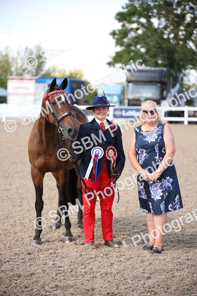 SBM_03069 - Class 17 Prettiest Mare IH or Ridden